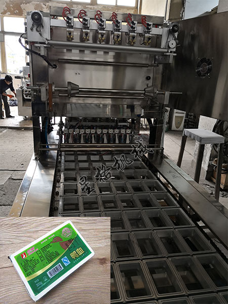盒裝鴨血灌裝自動化機(jī)械設(shè)備灌裝工序看得見(圖2)